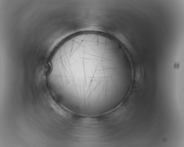 X0000113211356200909100936