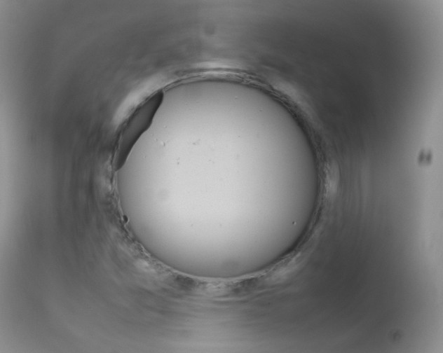 X0000113211357200909100936