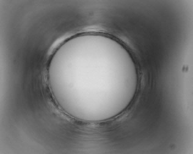X0000113211358200909100936