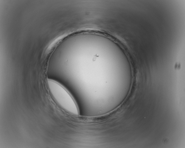 X0000113211359200909100936