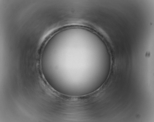 X0000113211360200909100936