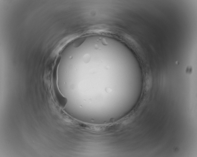 X0000113211361200909100936