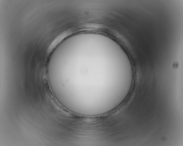 X0000113211362200909100936