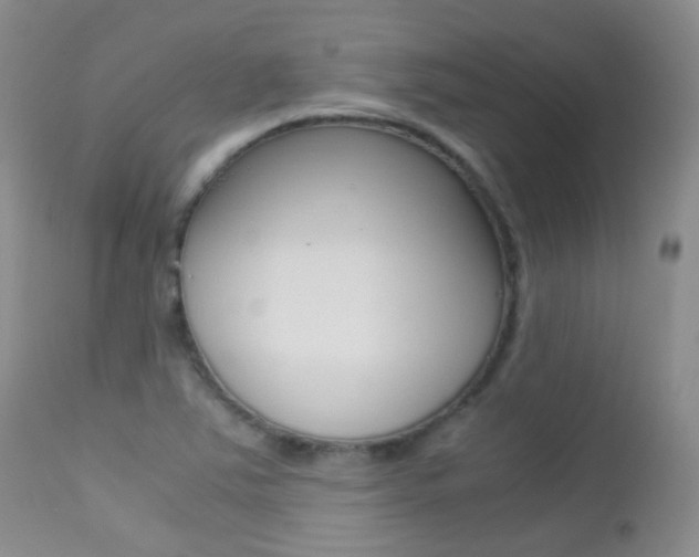 X0000113211363200909100936