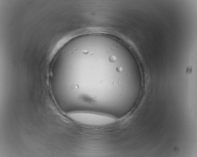 X0000113211365200909100936