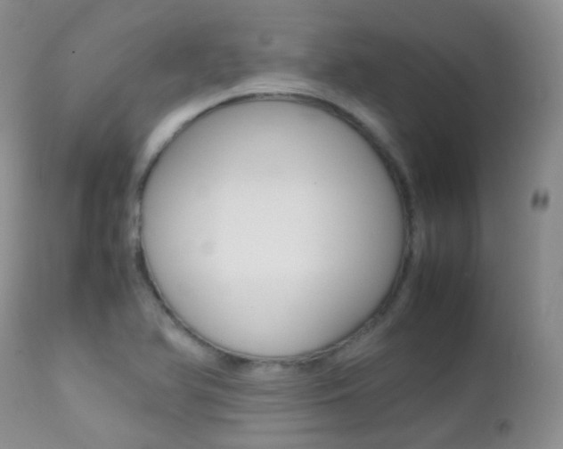 X0000113211366200909100936