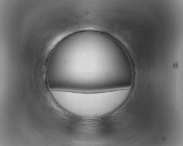 X0000113211367200909100936