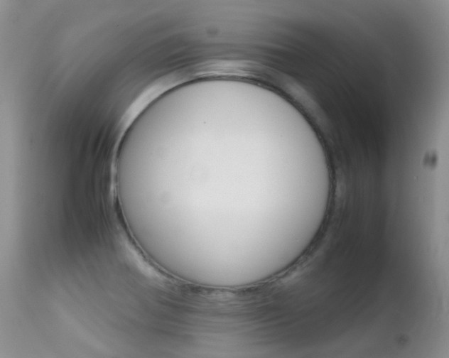 X0000113211370200909100936