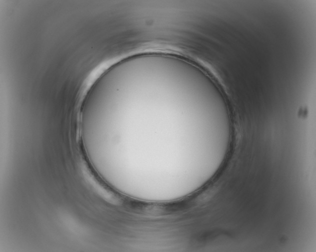 X0000113211371200909100936