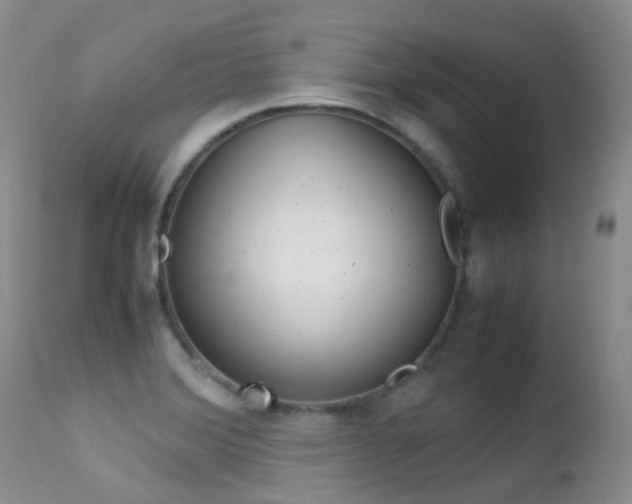 X0000113211372200909100936