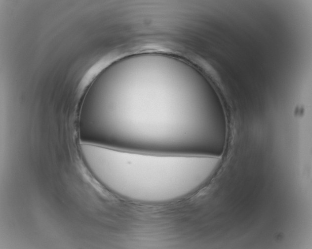 X0000113211373200909100936