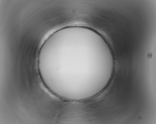 X0000113211374200909100936