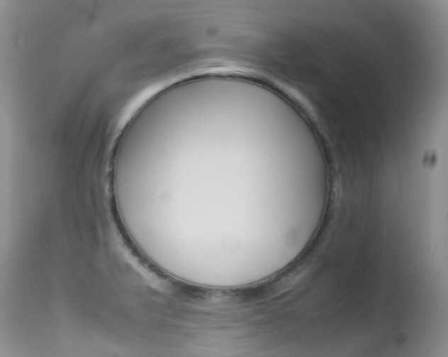 X0000113211375200909100936