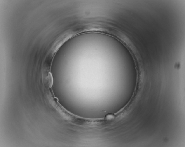 X0000113211377200909100936