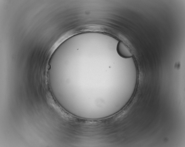 X0000113211378200909100936