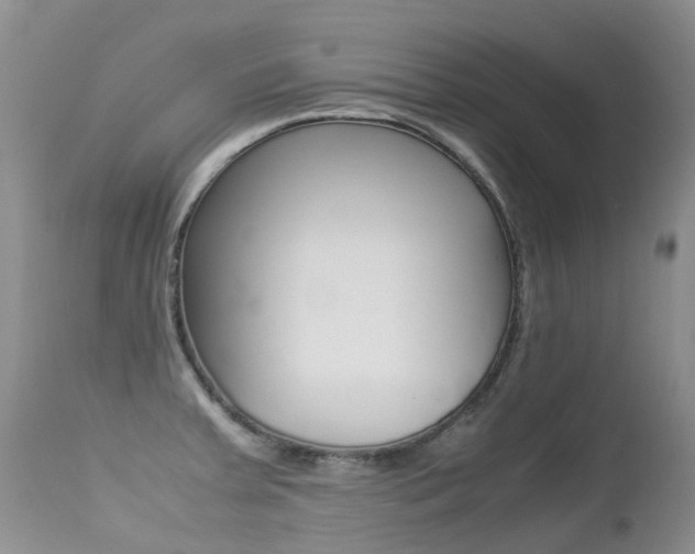 X0000113211379200909100936