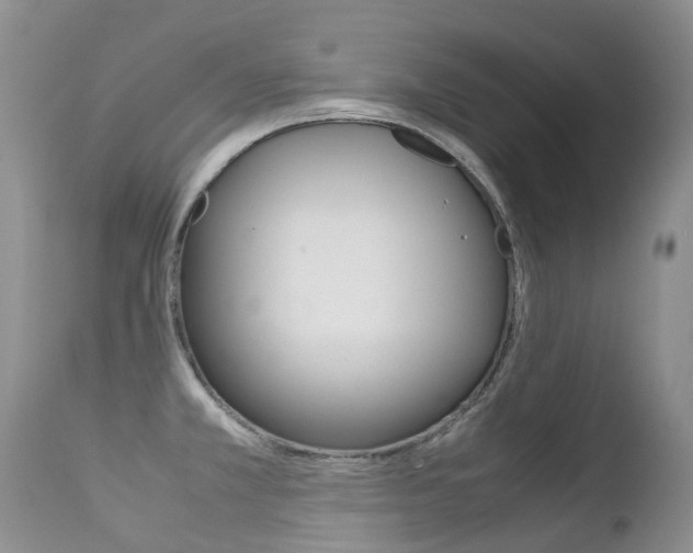 X0000113211381200909100936