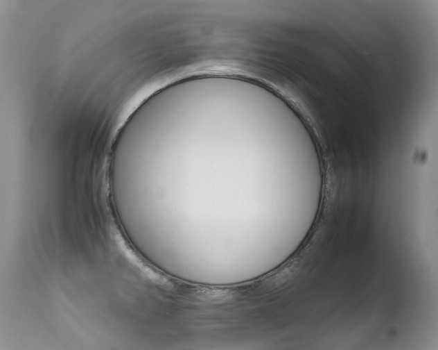 X0000113211382200909100936