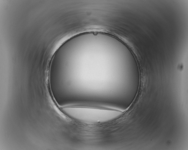 X0000113211383200909100936