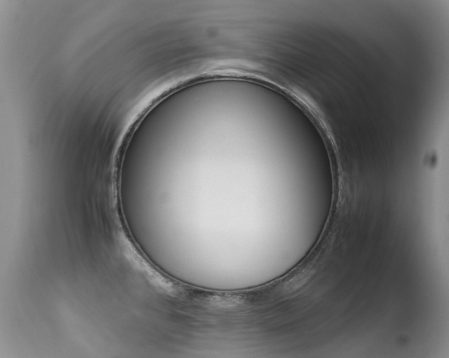 X0000113211384200909100936