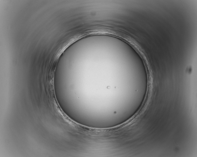 X0000113211385200909100936