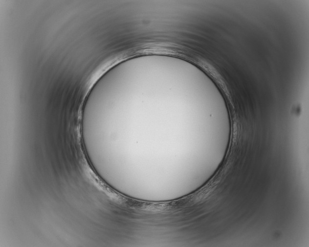 X0000113211386200909100936