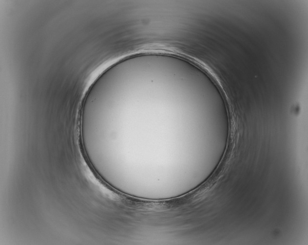X0000113211387200909100936