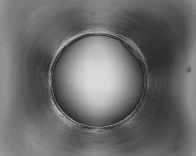 X0000113211388200909100935