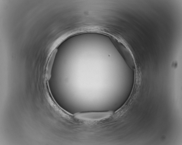 X0000113211389200909100935