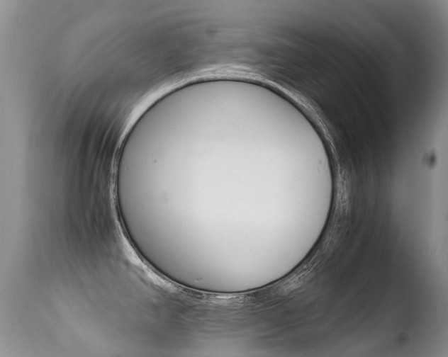 X0000113211390200909100935