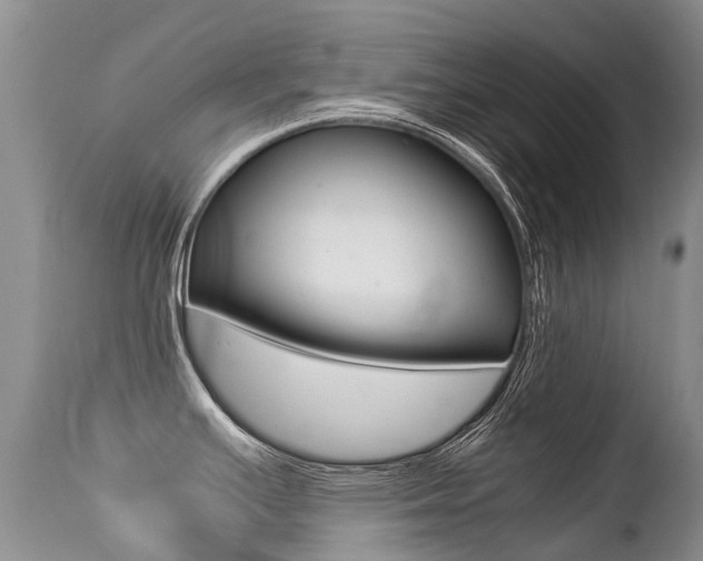 X0000113211391200909100935