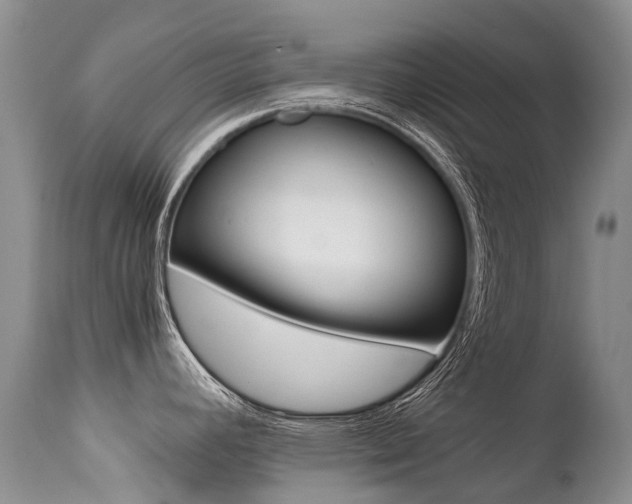 X0000113211392200909100935