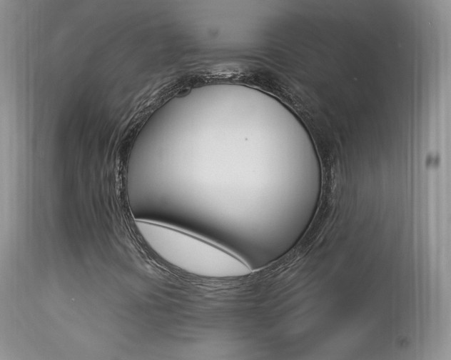 X0000113211394200909100935