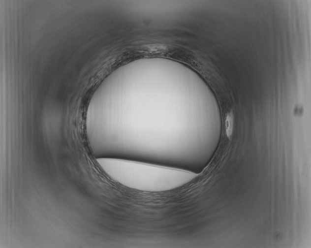 X0000113211395200909100935