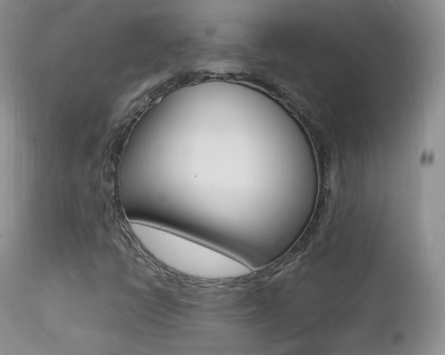 X0000113211398200909100935