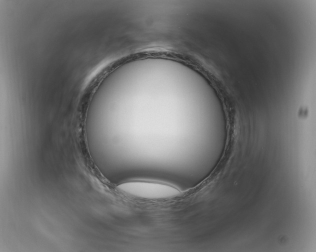 X0000113211400200909100935
