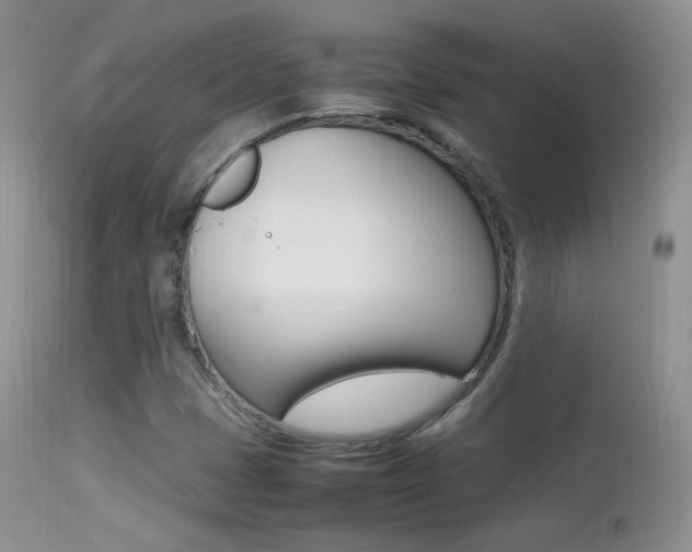 X0000113211401200909100935