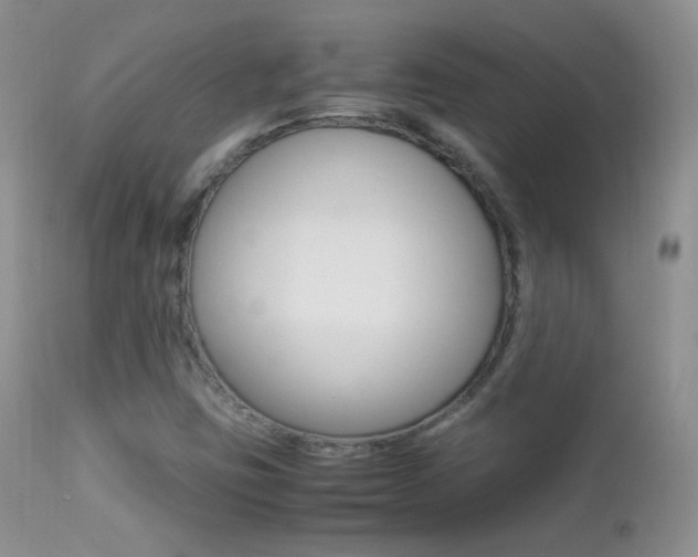 X0000113211403200909100935