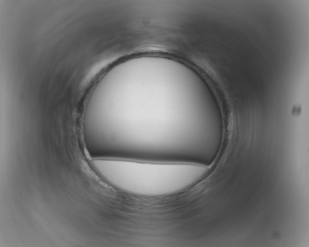 X0000113211404200909100935