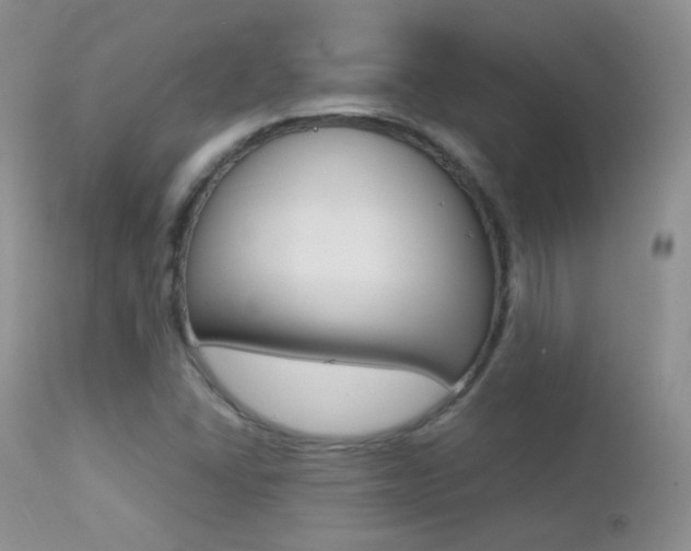 X0000113211406200909100935
