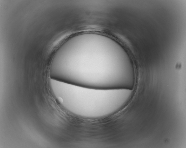 X0000113211407200909100935