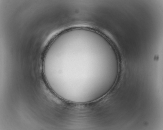 X0000113211408200909100935