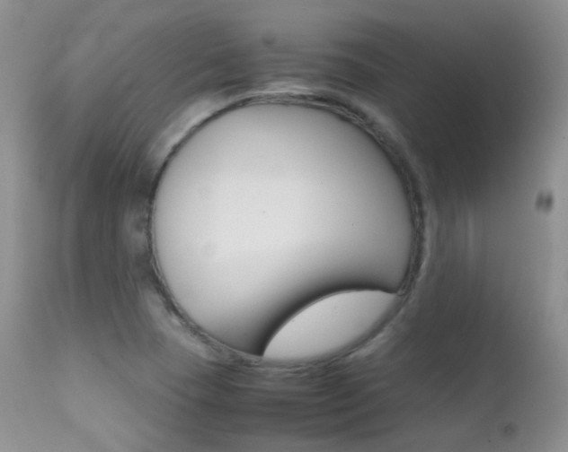 X0000113211409200909100935