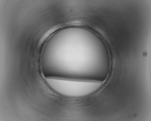 X0000113211410200909100935
