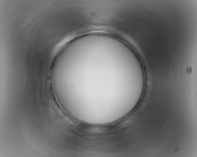 X0000113211411200909100935