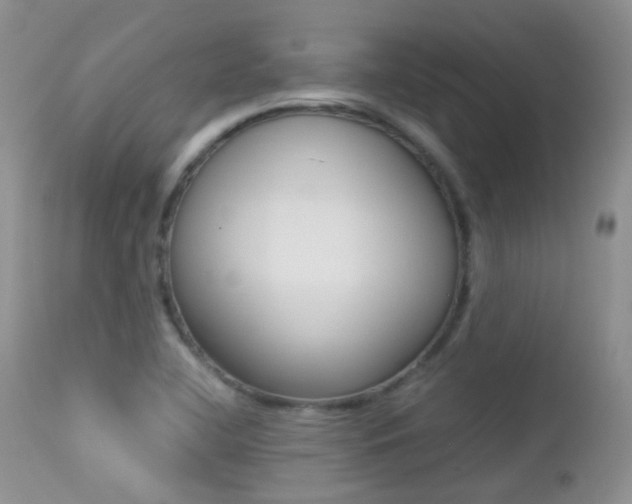 X0000113211412200909100935