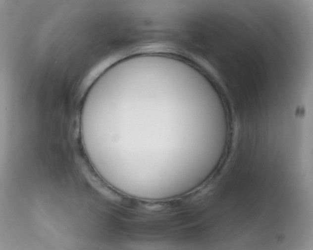 X0000113211413200909100935