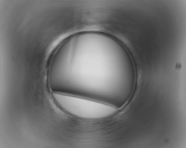 X0000113211414200909100935
