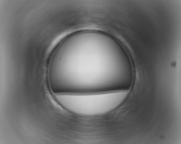 X0000113211416200909100935