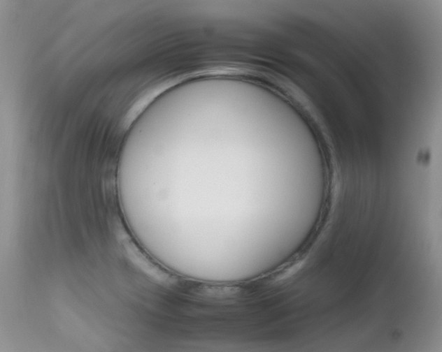 X0000113211417200909100935